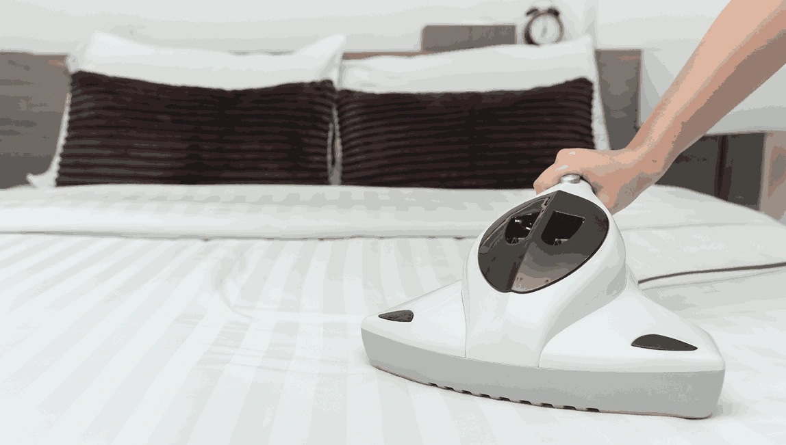 Professional Mattress Cleaning Invermay